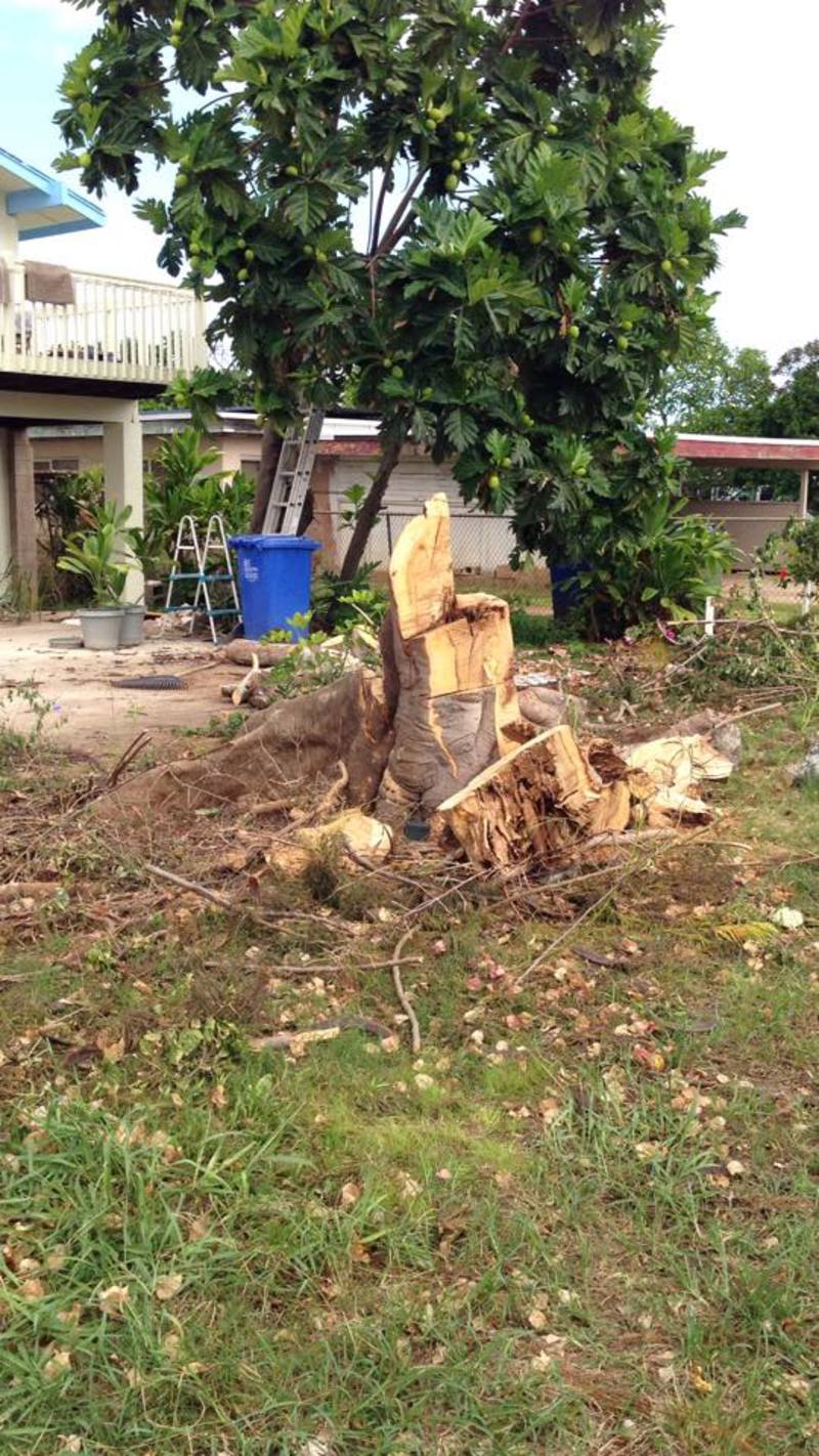 What it looks like now from the side. I feel like I should put up a Memorial Plaque for the tree, but since it's Hawaii, it's possible that we didn't kill it. Our goal wasn't to kill it, but cut out all the rotten parts.