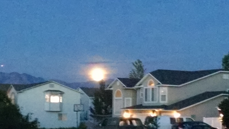 Rising moon in Larissa's neighborhood.