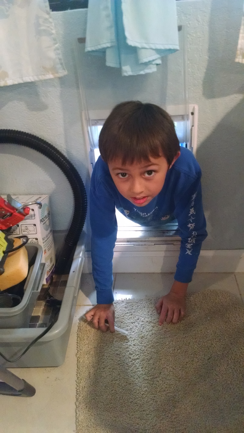 Alex enjoying Cindy's dog door.