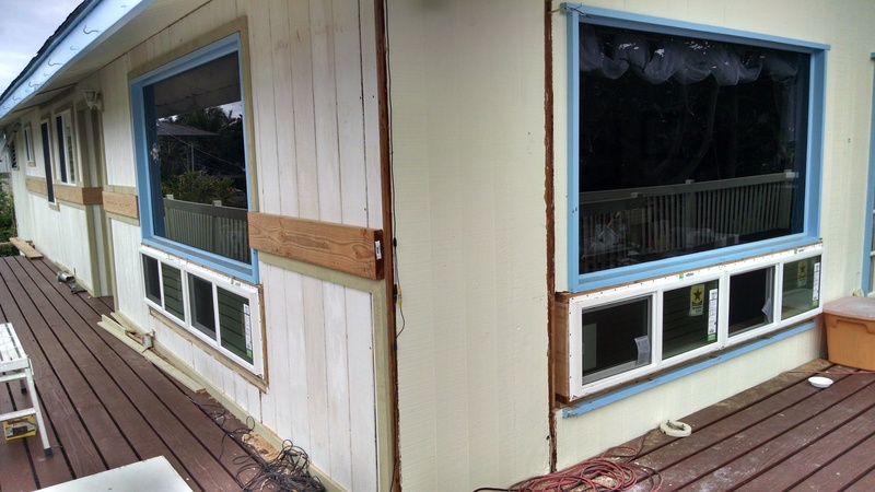 North side of house, and half of the west side of house.