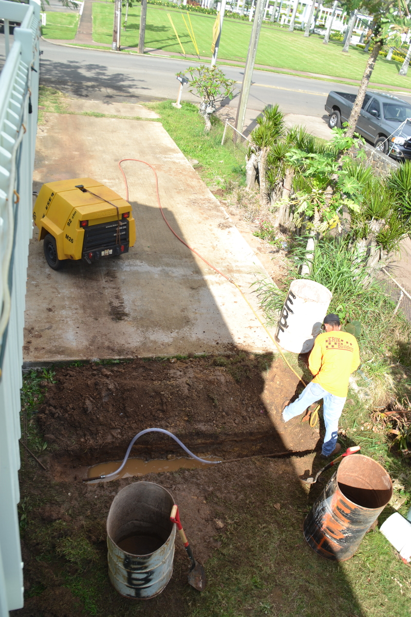 This time they have a jack hammer to dig. :-)