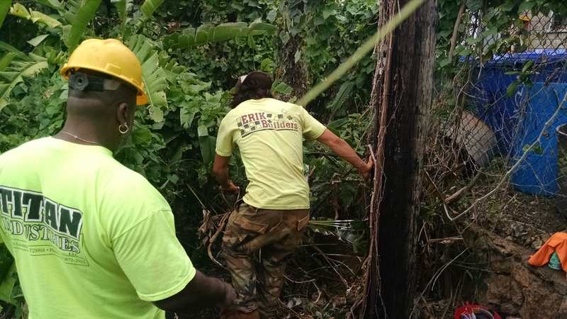 Attack the greenery.