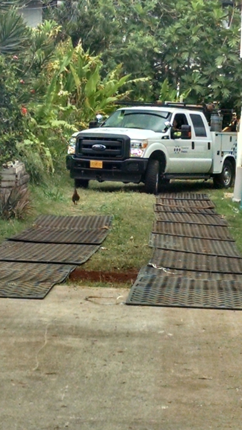 Why did the chicken cross the road?