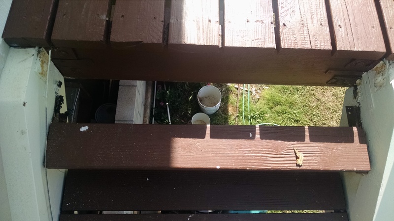 Hum.... one of the step supports decomposed. I do not like Hawaiian "paradise" for that.