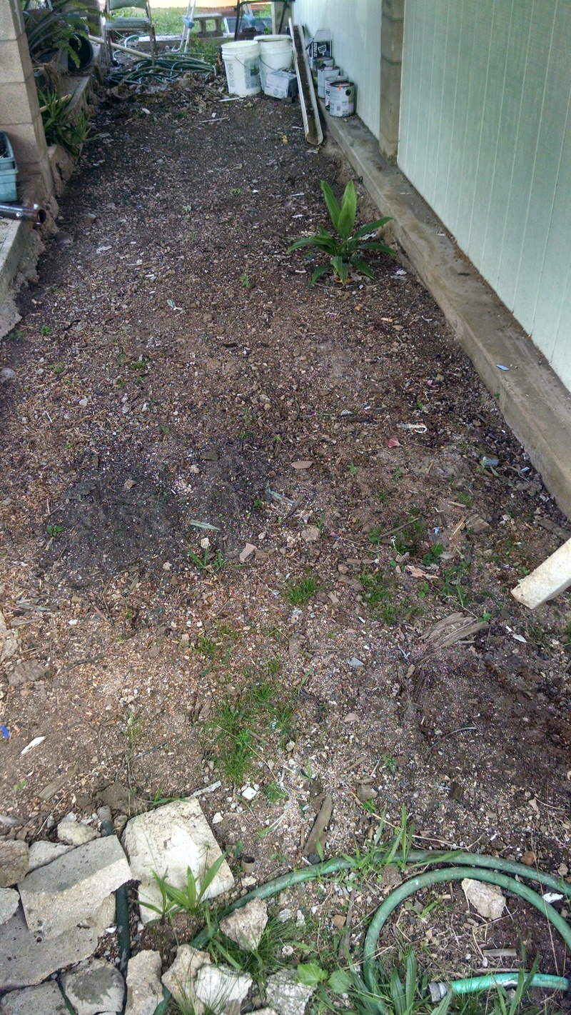 I worked under the front porch so that we can move the pile of gravel.