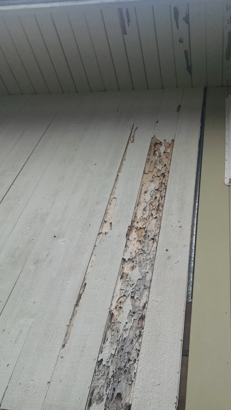 Say good bye to some of the worst siding ever. It must have been delicious.