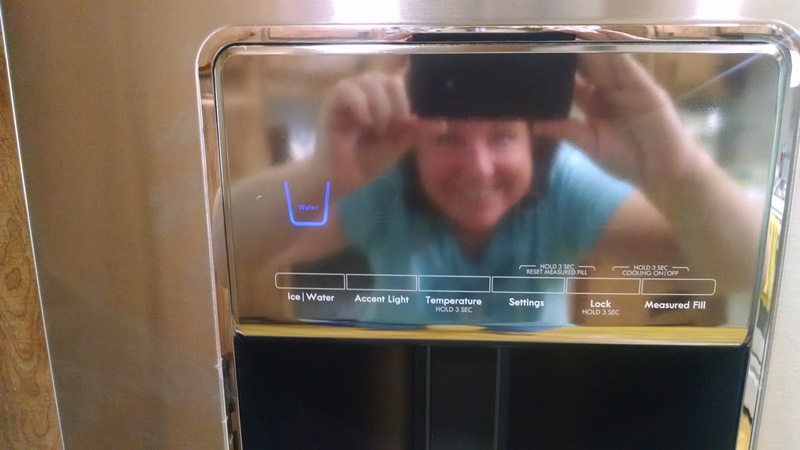 And here's the door ice and water buttons. :-)