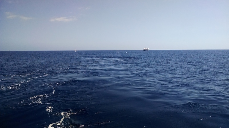 Another whale-watching tour out in Honolulu bay.