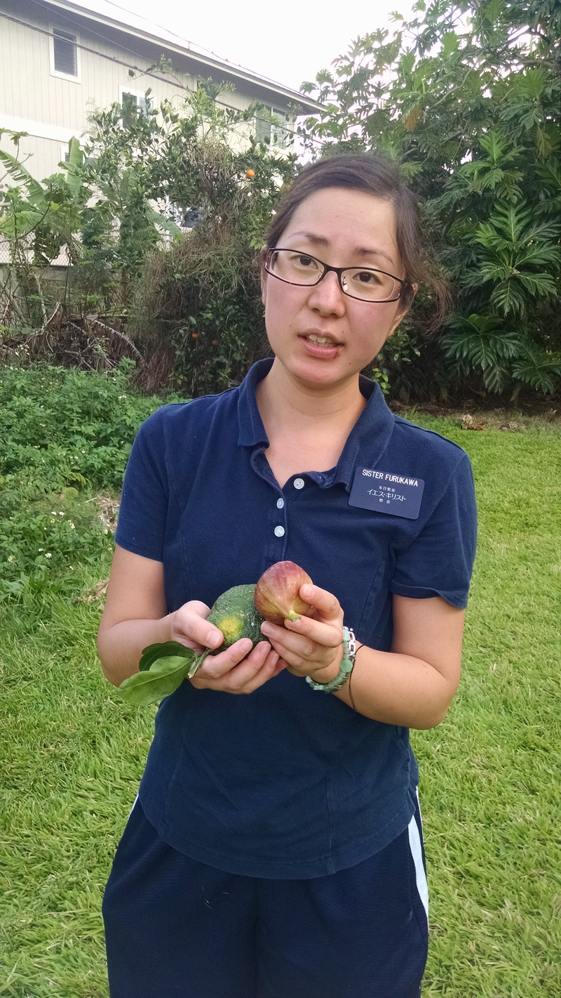 Sister Furukawa is holding a fig. What do I do with it? :-)