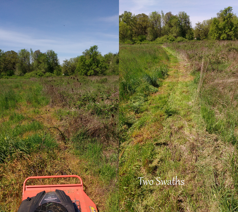 Working on the main path in the middle of the field.