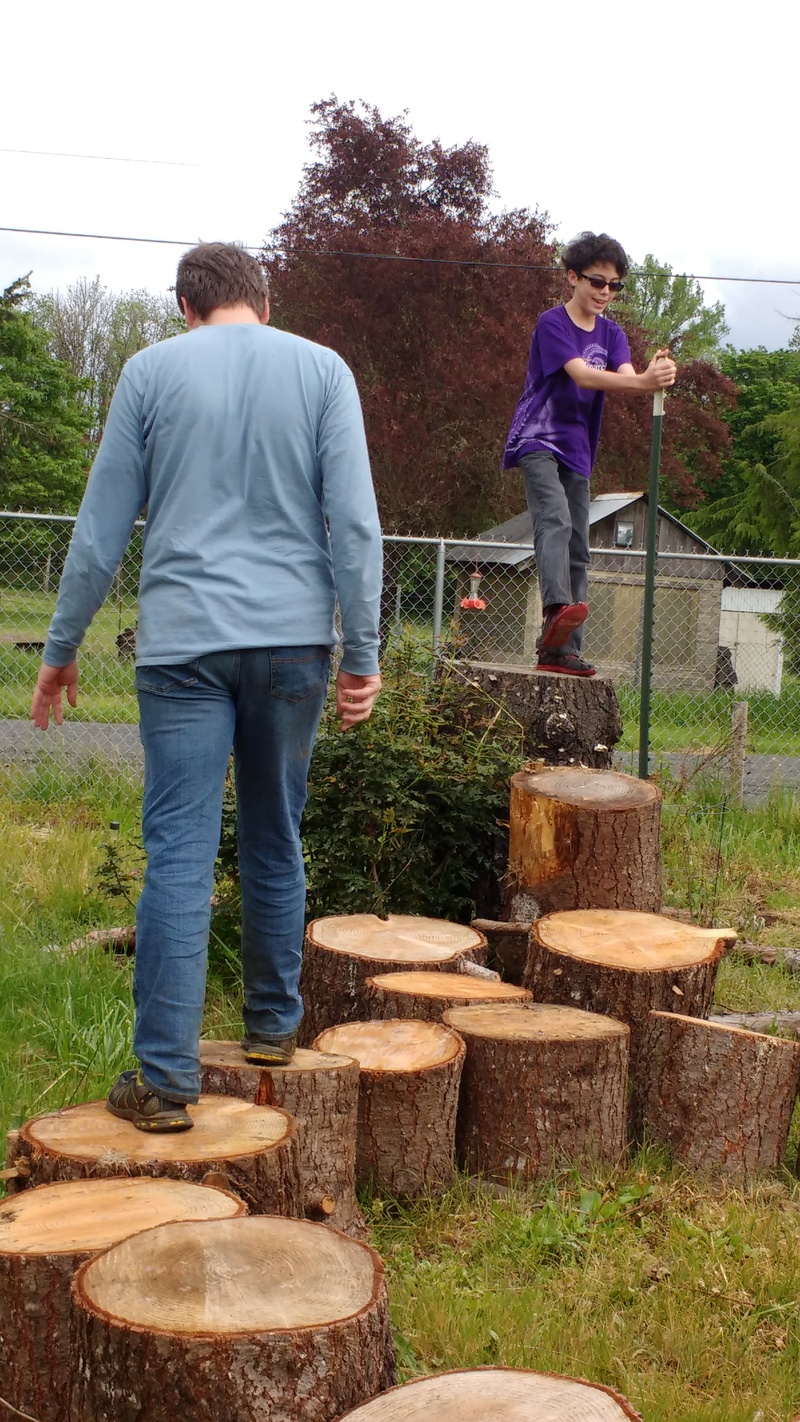 We laughed that adults and kids would never want to walk the tree disks. :-)