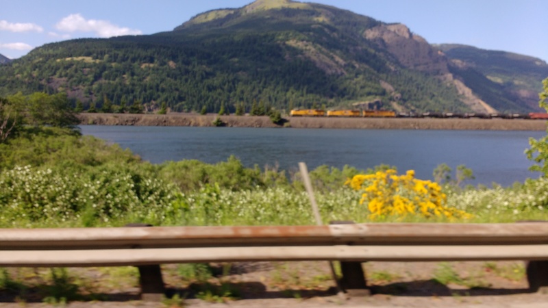 Train on the Washington side of the Columbia River.