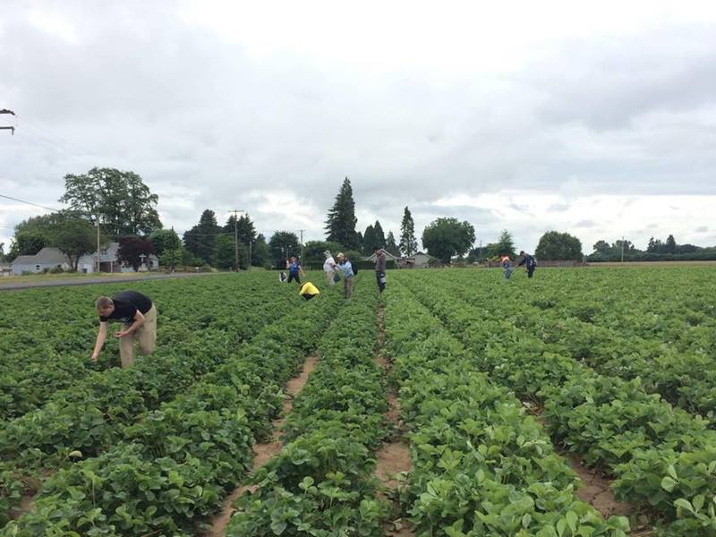 Strawberry fields forever. Lots of "outstanding" people. Isaac.