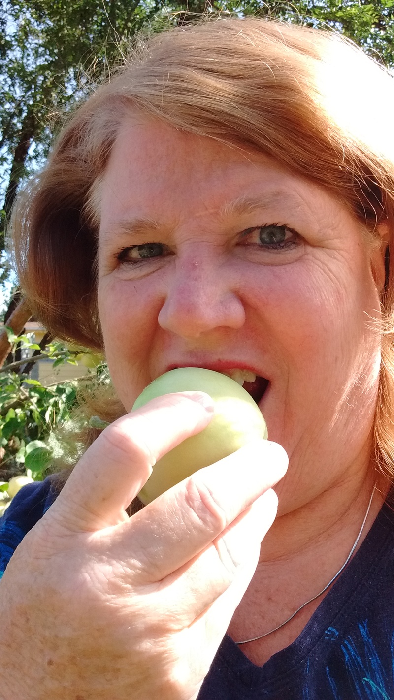 Lois eating a Yellow Transparent Apple from the Picnic Area. It tasted really good.