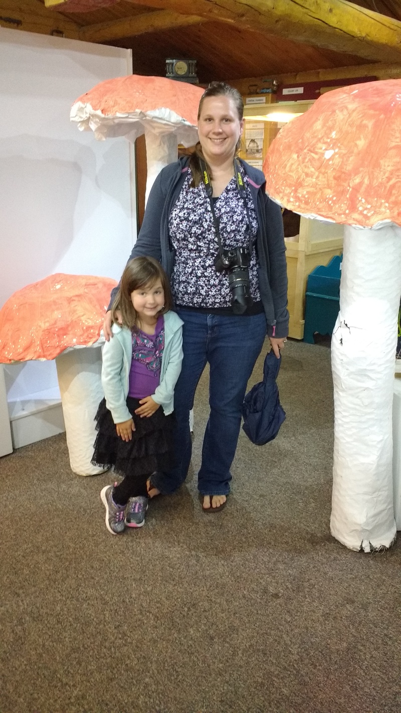 Mushrooms in the Palmer Visitor Center.