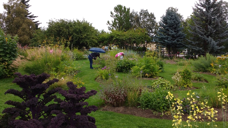 Visitor Center gardens in the drizzle.