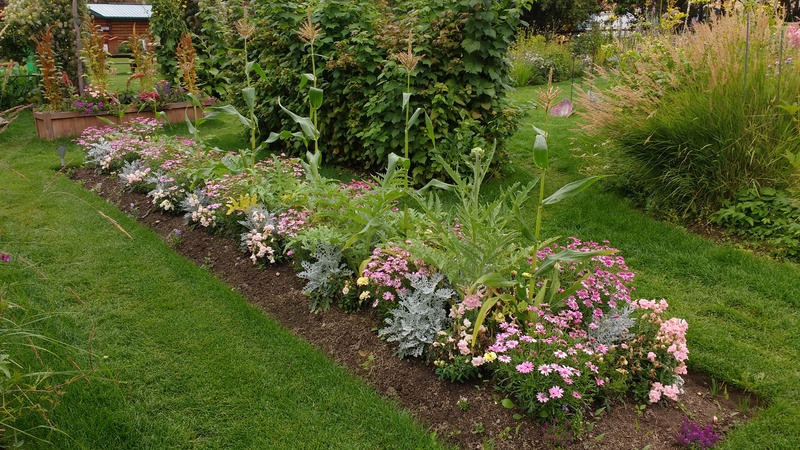 Lois liked how they planted their corn.