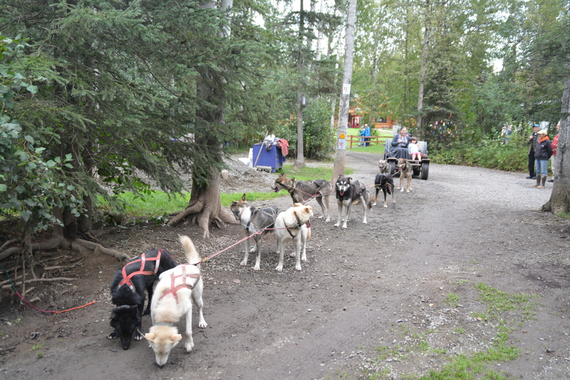 Stacia and Emily about to emBark on their dog sled journey.
To watch a movie clip go here.
https://youtu.be/jpHEqQd1JOE