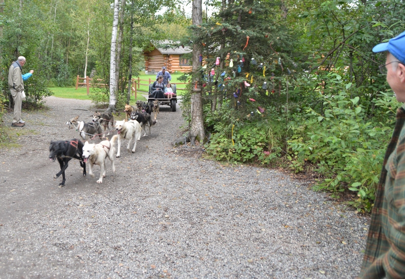 And here they come, back again, after their two-minute journey through the woods.