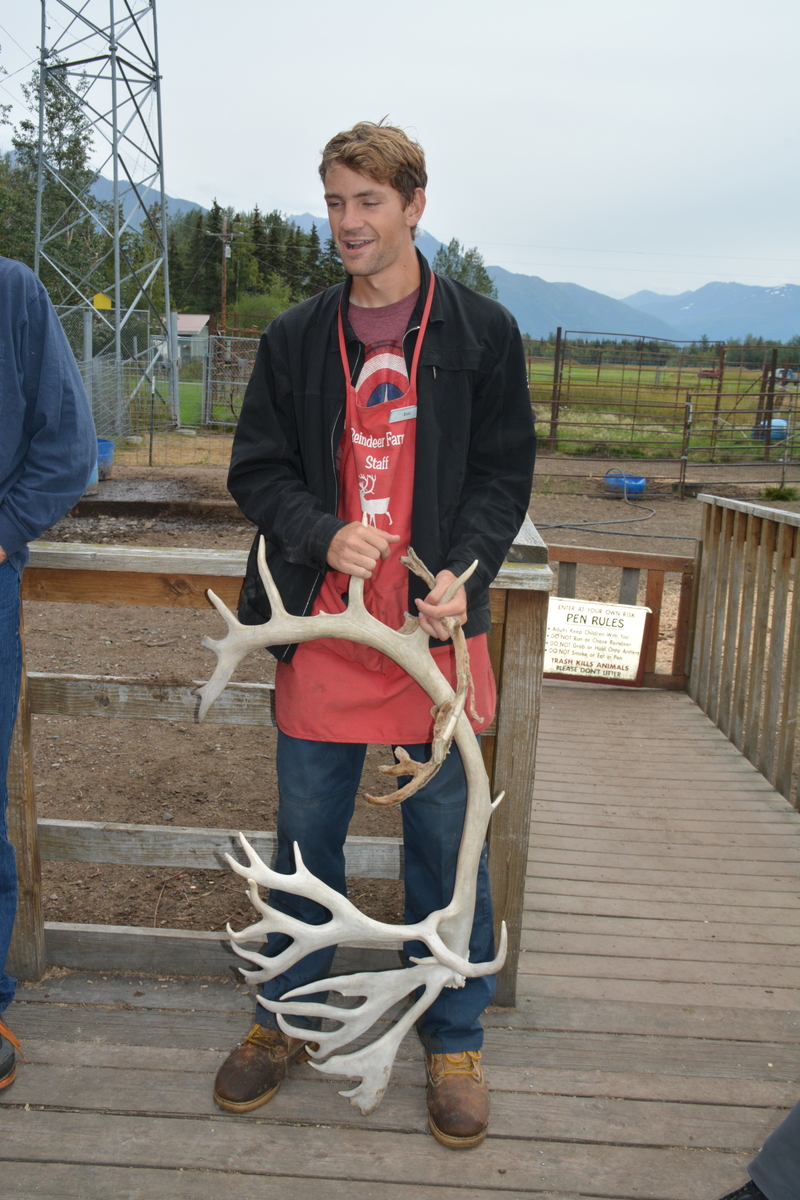 This is a fairly large antler.