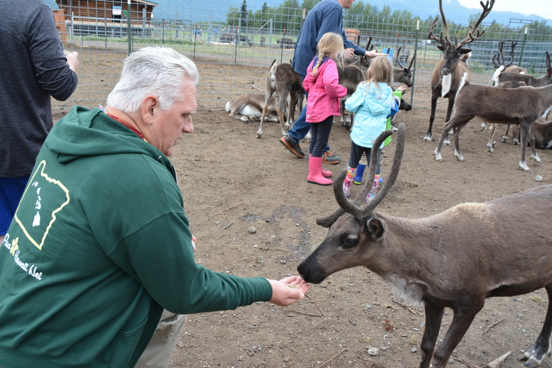 Don offers food to a caribou aka reindeer.