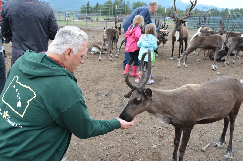 Don offers food to a caribou aka reindeer.