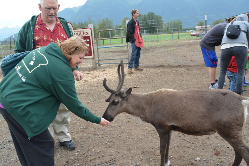 Lois offers food to a caribou aka reindeer. Don looks on.