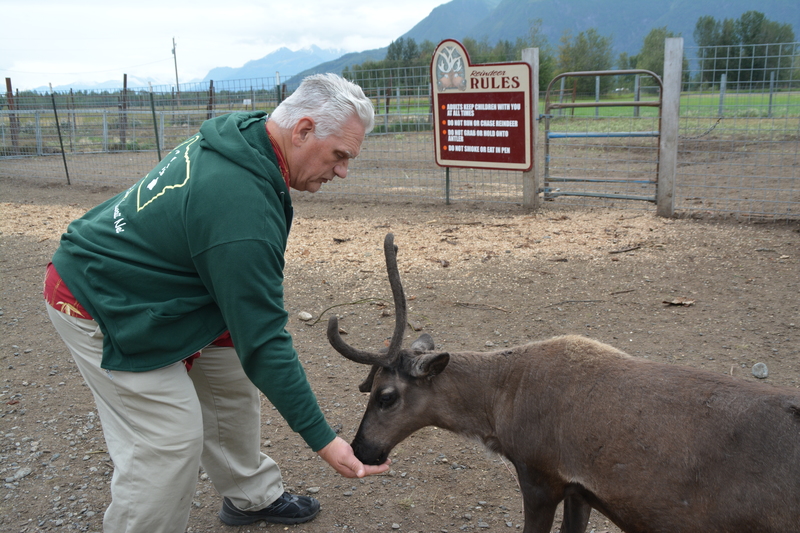 Don offers food to a caribou aka reindeer.