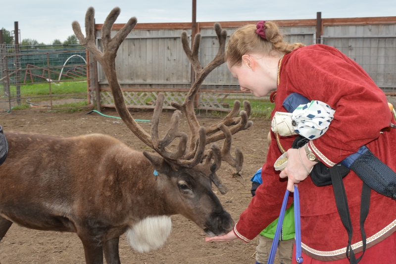 Esther offers food to a caribou aka reindeer.