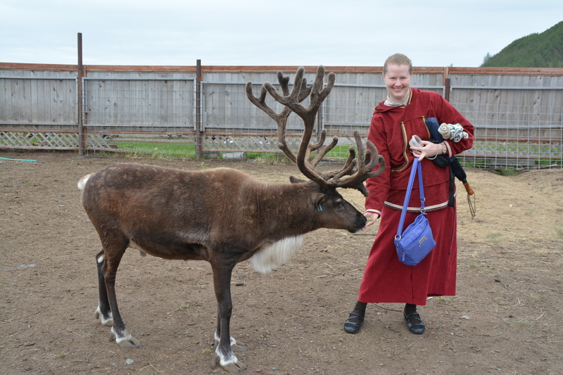 Esther offers food to a caribou aka reindeer.