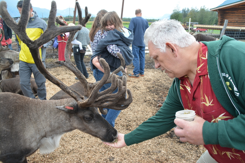 Don offers food to a caribou aka reindeer.