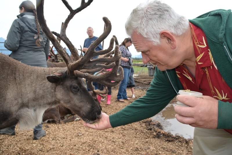 Don offers food to a caribou aka reindeer.