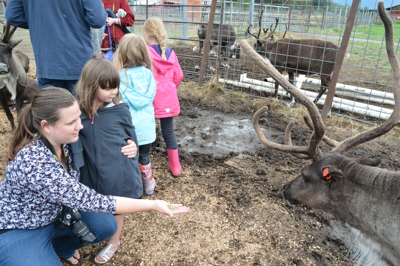 Stacia offers food to a caribou aka reindeer. Emily watches.