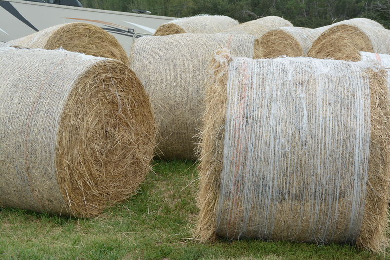 Round bales of hay.