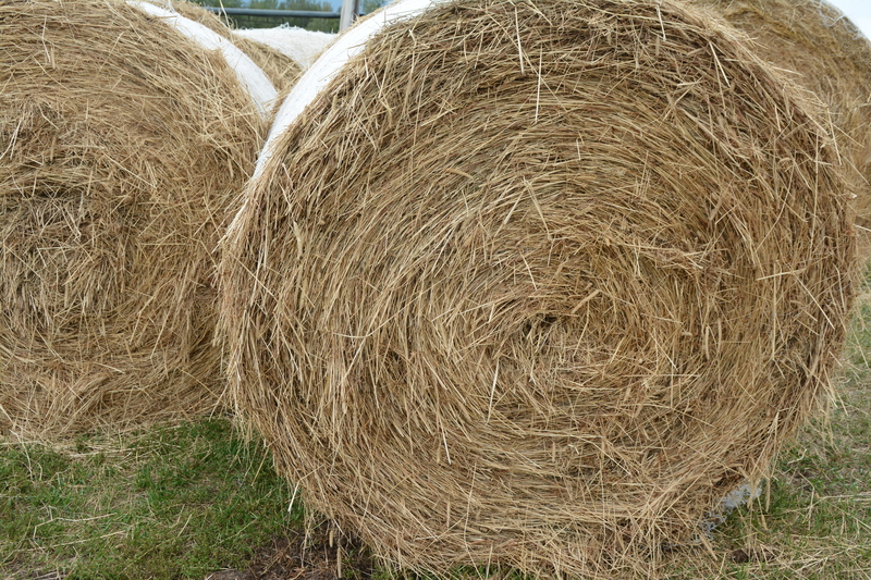 Round bales of hay.