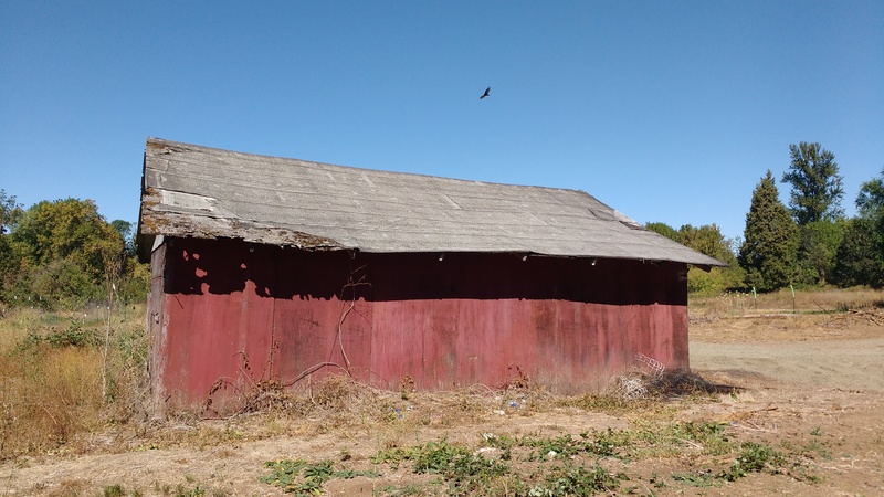 The is the "before" picture of our old barn. We hope in a few months to have an "after" picture of a garage with a room above it, on the same footprint as the old barn.