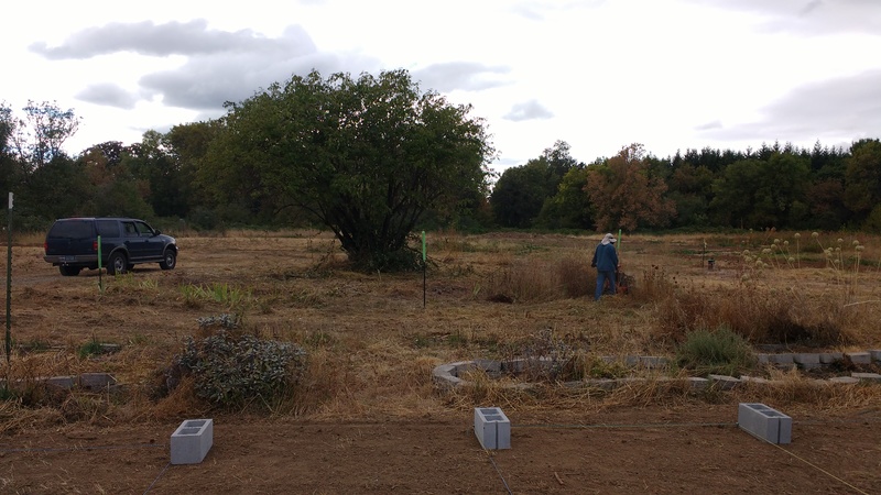 The cornerstones of each cell of the Waffle. Each cell will be a raised-bed garden patch 4x4 on the outside and 32x32 on the inside.