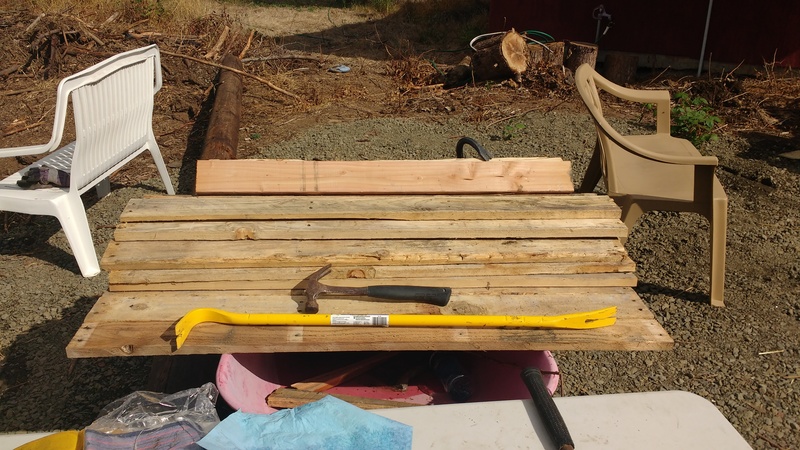 Boards from the pallets that the cement blocks came on.