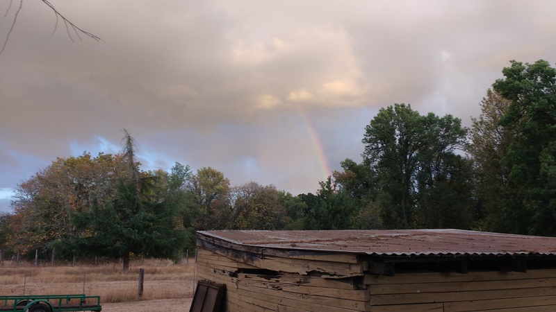 Nice rainbow over the neighbor's tractor barn.