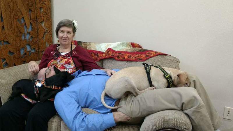 Cindy and Jim all tuckered out after dinner. Wore two dogs out also. :-)