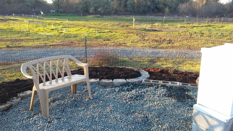 And made several kidney shaped gardens.