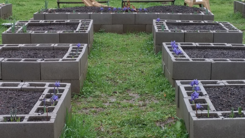 This is what the waffle looked like when we left home on Tuesday, March 21.