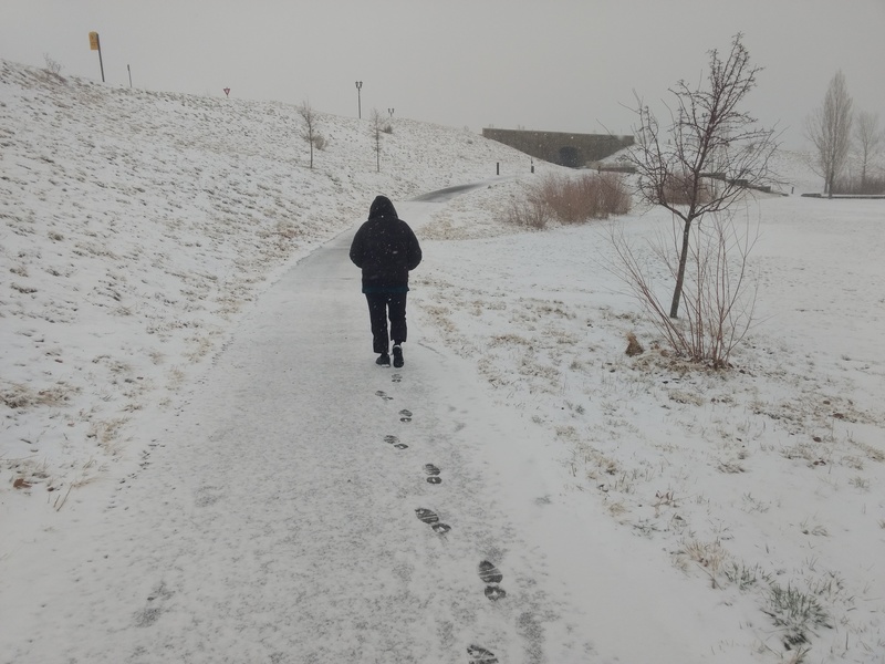 Lois walking to a Pokemon Gym.