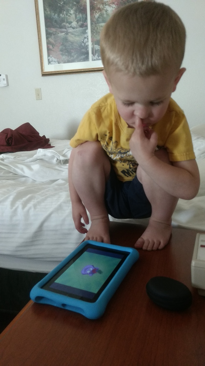 Austin takes up residence on a lovely perch, the end table between the two beds in our hotel room.