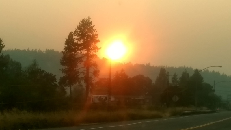 The sun is setting in the smokey evening. It looked orange.