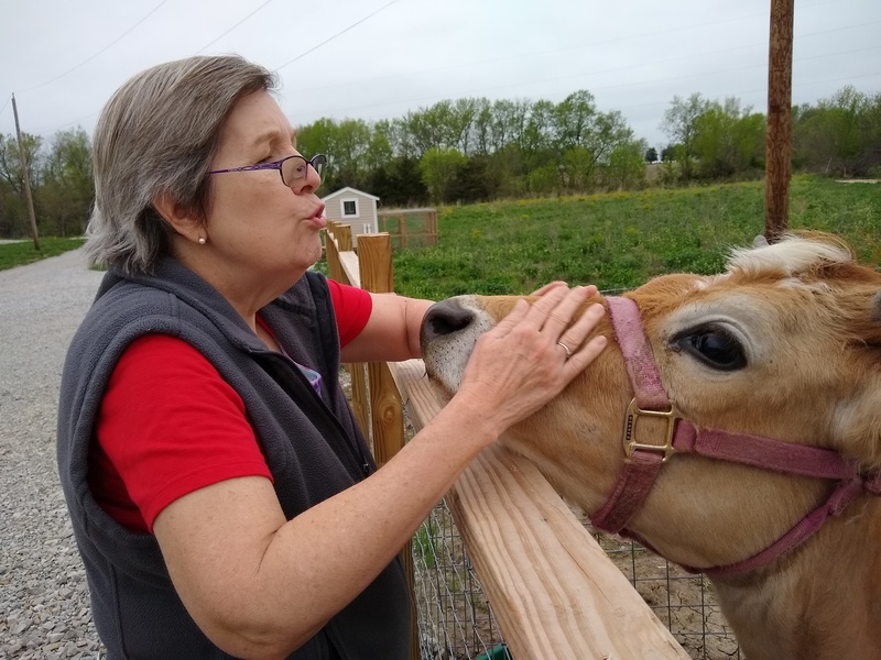 Cindy makes a new friend, Daisy the Cow.