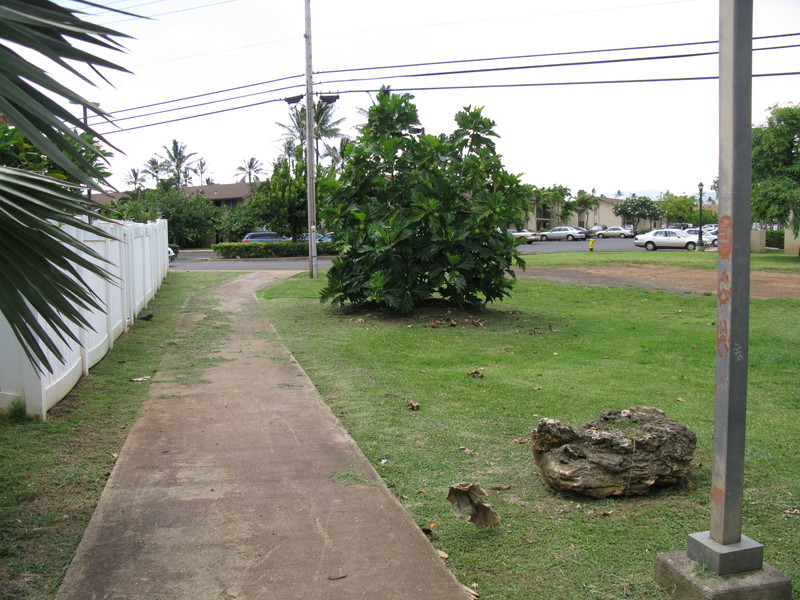 Behind backyard fence. Cool rock. and TVA in background.