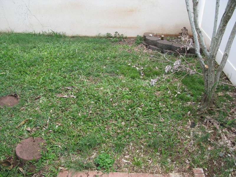 East side of the backyard.