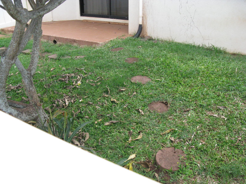 West side of the back yard. Dining room slider.