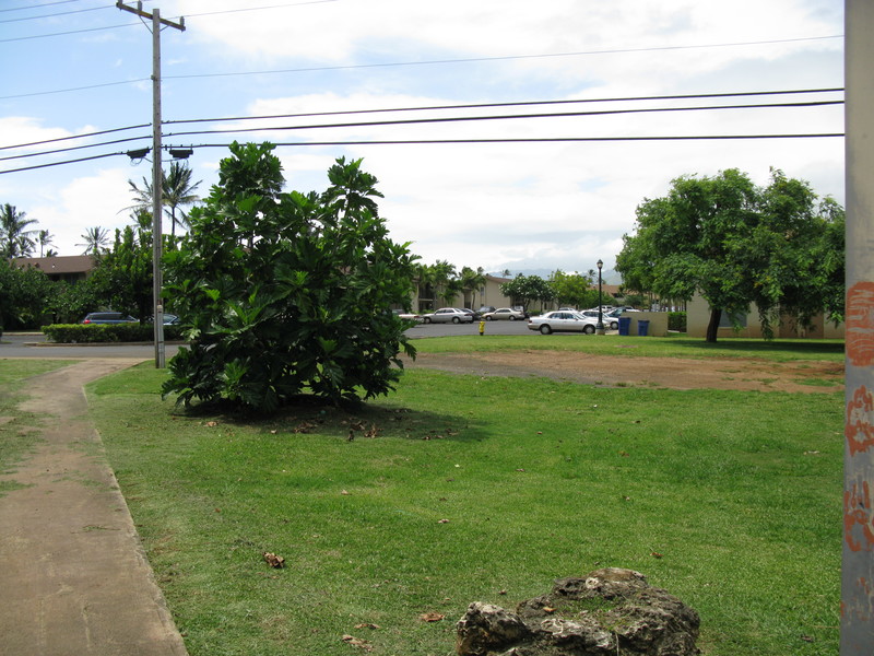 TVA across the street behind your townhouse.